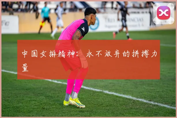 中国女排精神:永不放弃的拼搏力量