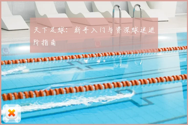 天下足球:新手入门与资深球迷进阶指南