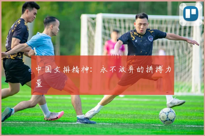 中国女排精神:永不放弃的拼搏力量